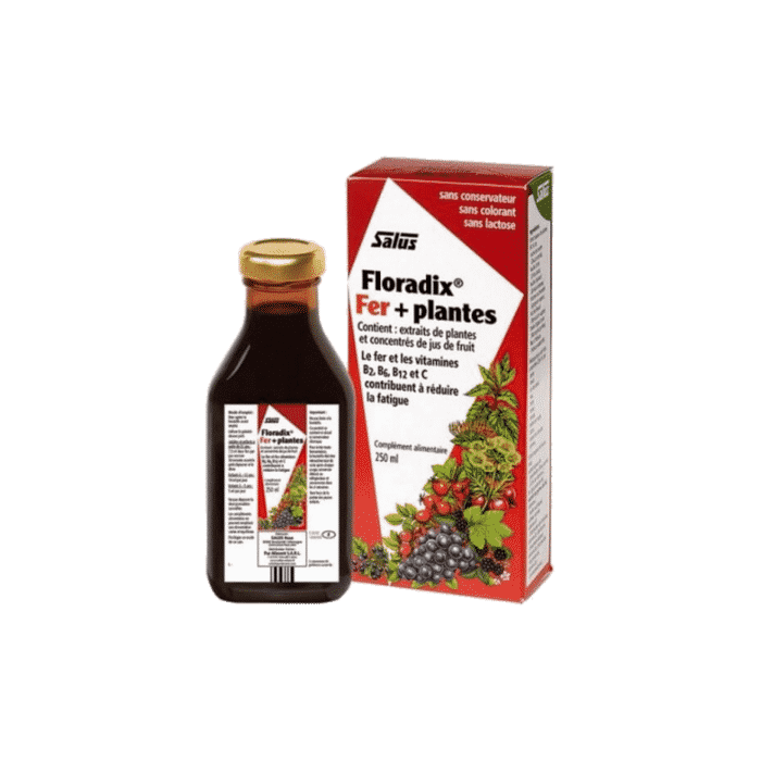 Floradix Elixir 250ml