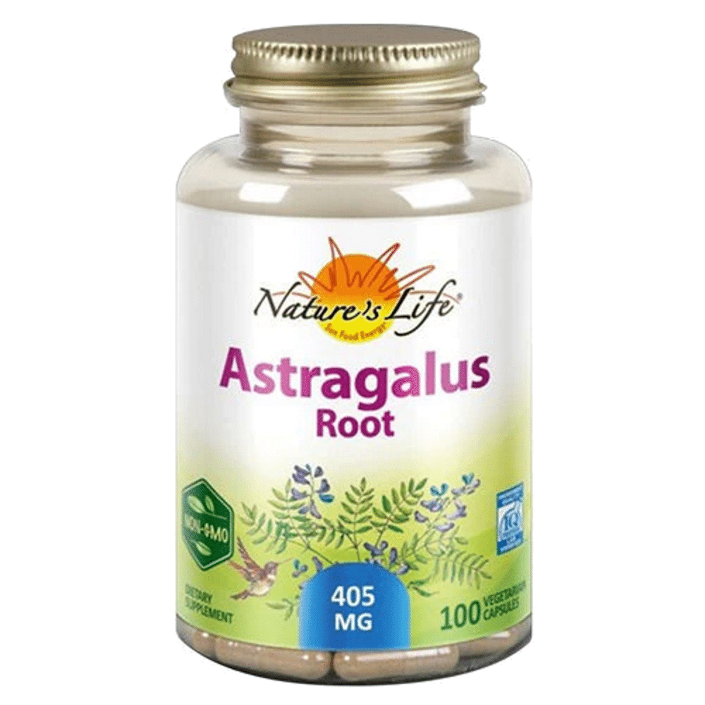 Astragalus Root suplemento alimentar